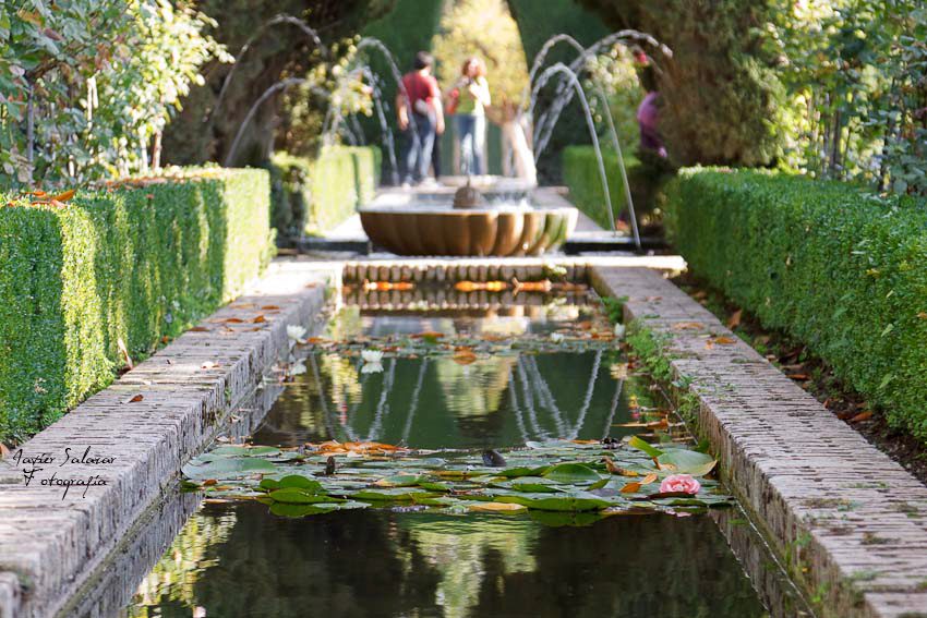 El agua en la Alhambra