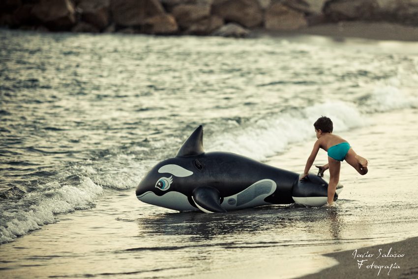 El niño y la Orca asesina