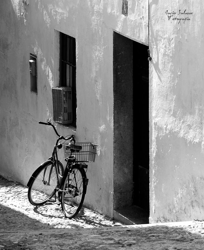 Las bicicletas no solo son para el verano
