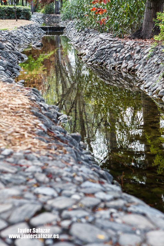El lento fluir del agua