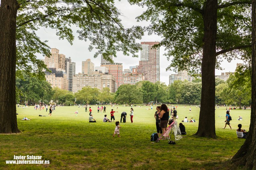 Relax en Central Park