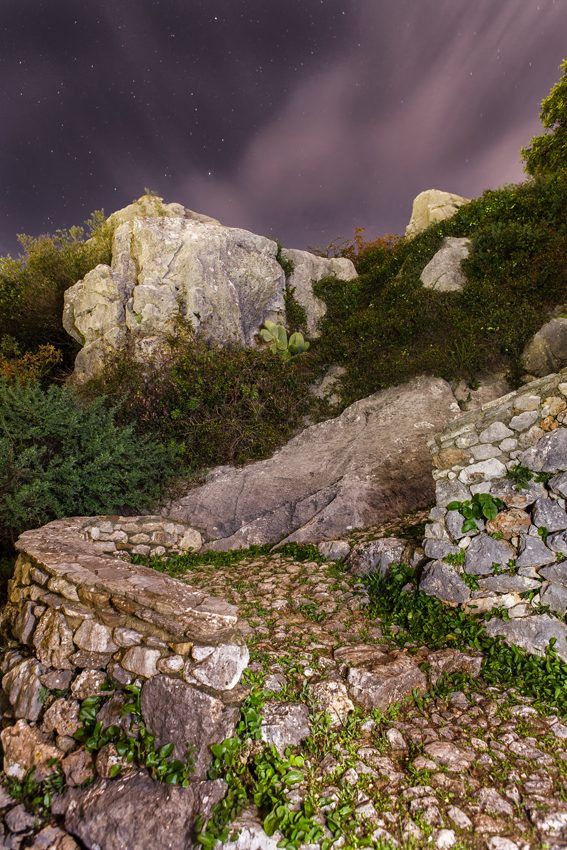 Polvo de estrellas