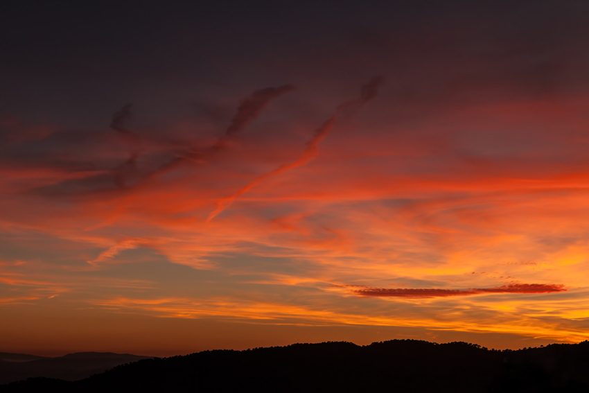 Orange Sunset