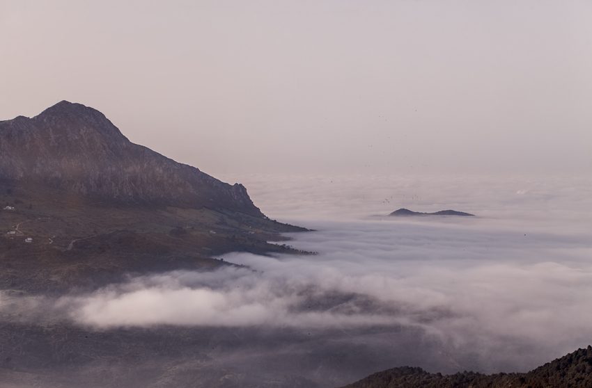 Océanos de niebla