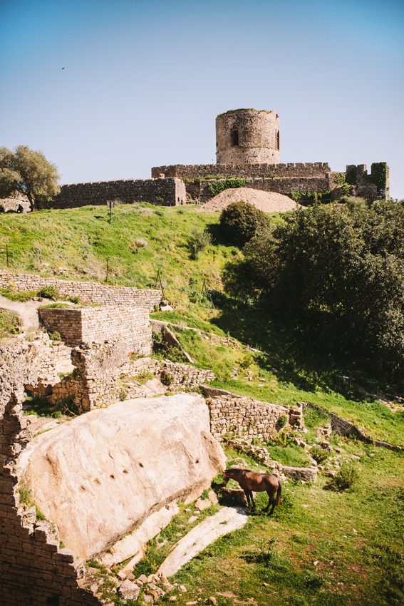 Castillo de Castellar Viejo.
