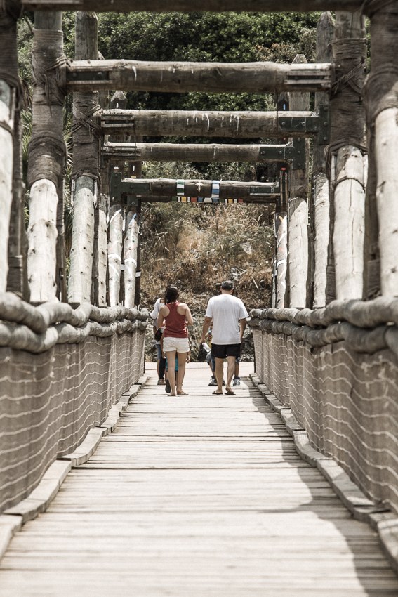 Puente sobre el rio salvaje