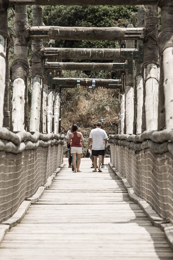 Puente sobre el rio salvaje