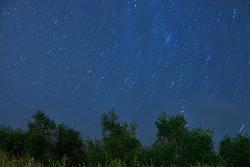Bajo un manto de estrellas