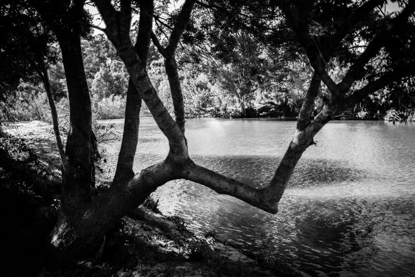El lento fluir del agua