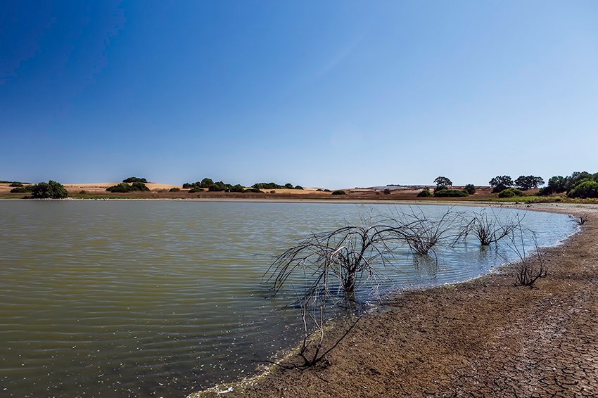 Humedales en Las Cabezas de San Juan