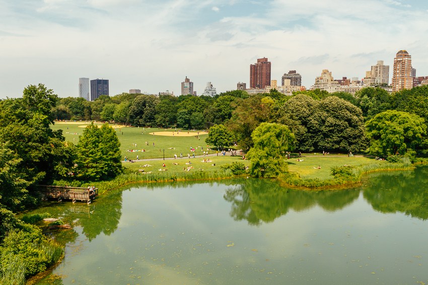 Central Park