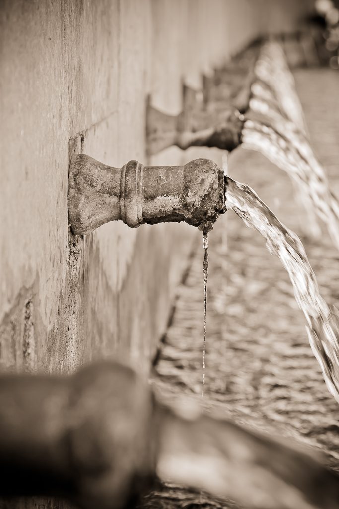 La fuente de la vida