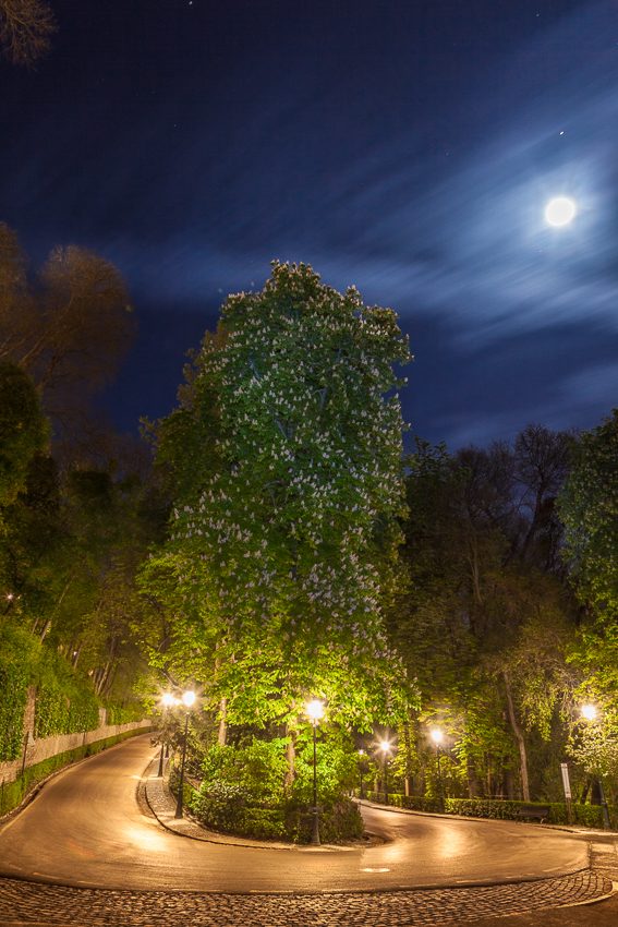 Sueño de una noche de primavera