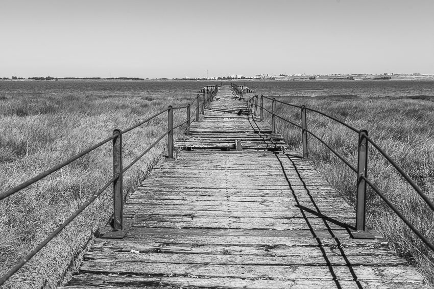 Recorriendo el camino