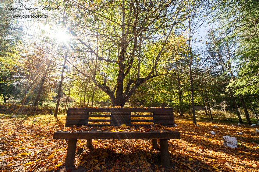 Por fin llega el otoño