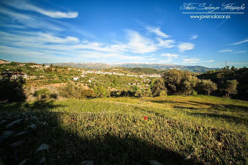Sierra Nevada