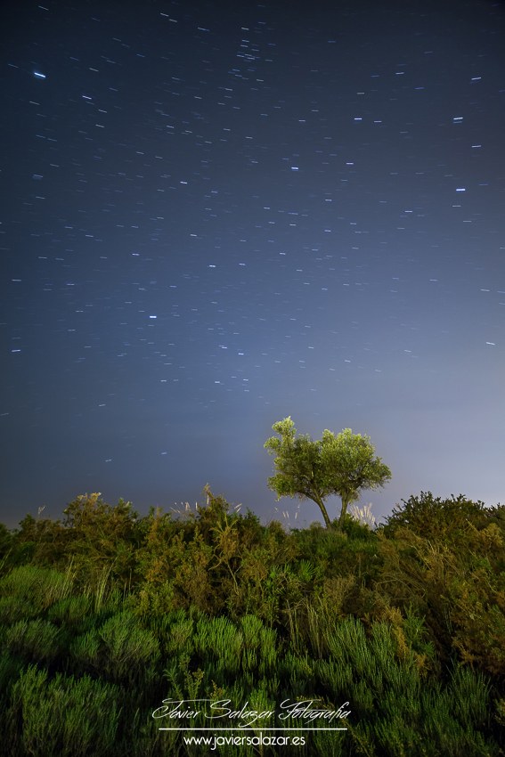 Keep Calm & Star Trail