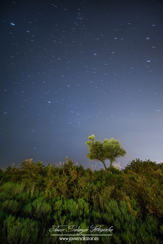 Keep Calm & Star Trail