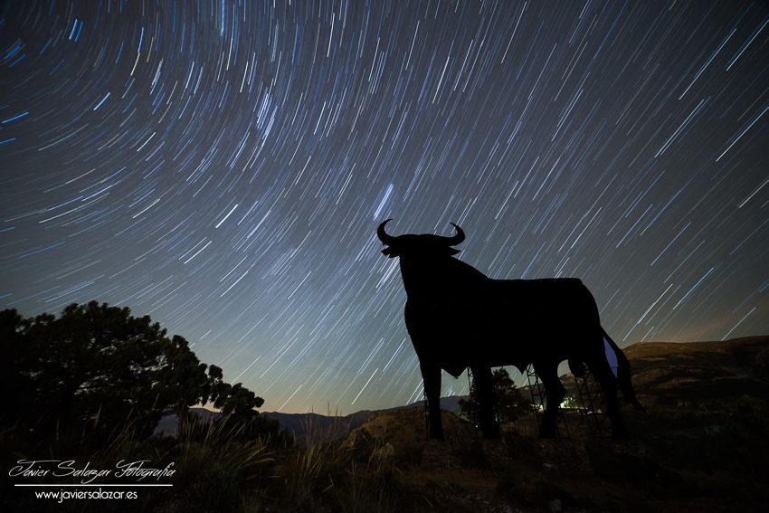 Ese toro enamorado de la luna