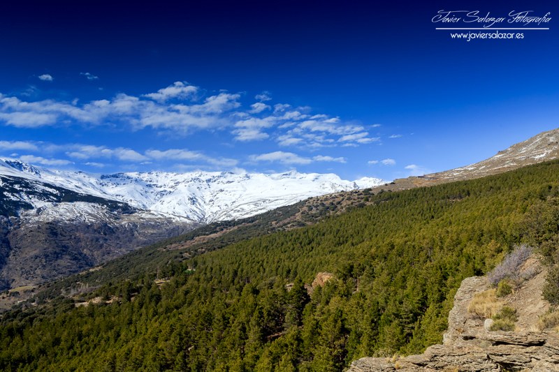 Sierra Nevada