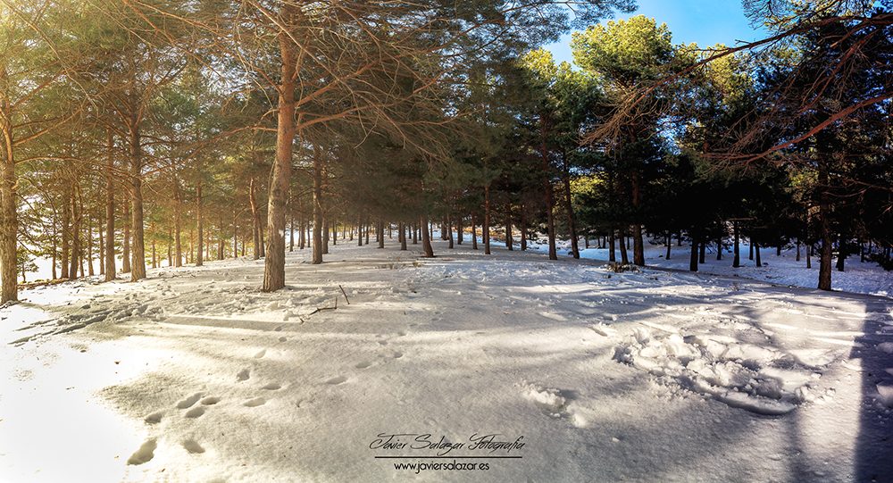 Panorámica en Sierra Nevada