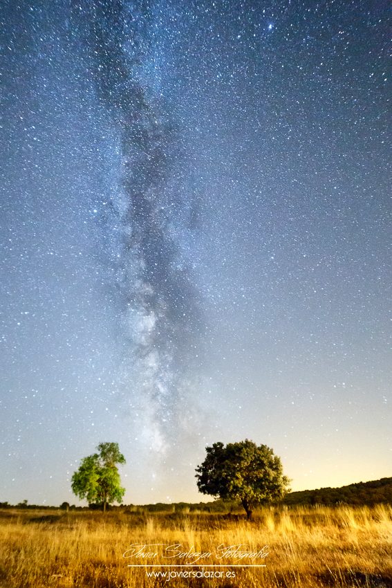 Noches de blanco satén