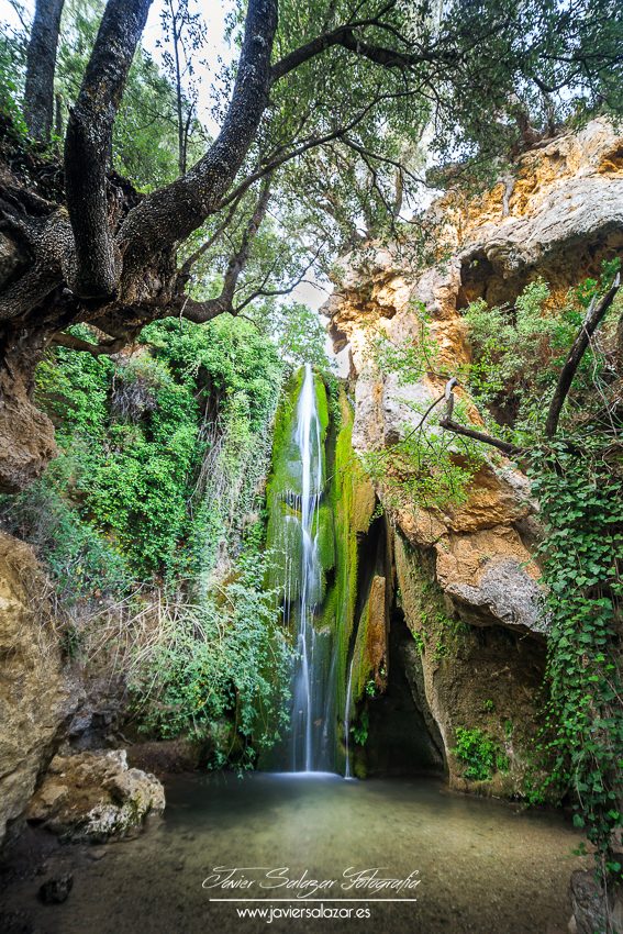 Green Fall